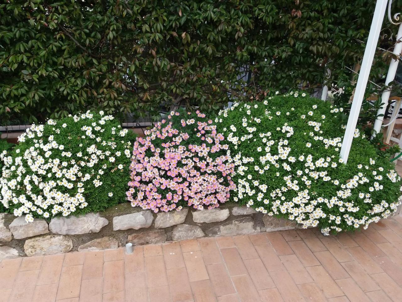 Garden On The Sea Bed & Breakfast Vico Equense Exterior photo